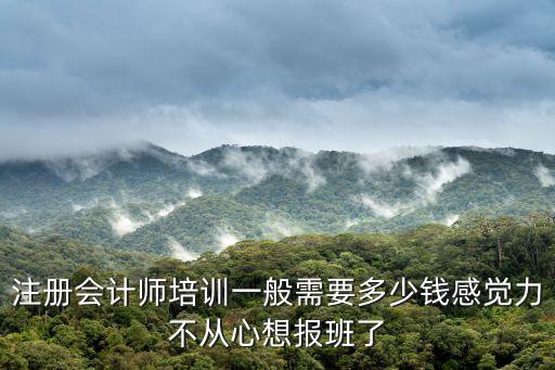 注冊會計師培訓一般需要多少錢感覺力不從心想報班了