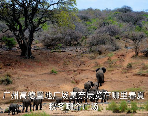 廣州高德置地廣場莫奈展覽在哪里春夏秋冬哪個廣場