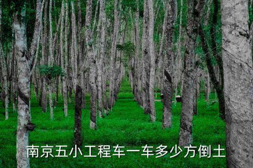 南京五小工程車一車多少方倒土