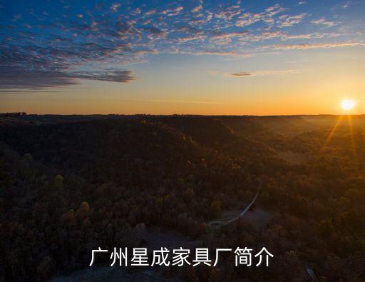 廣州星成家具廠簡(jiǎn)介