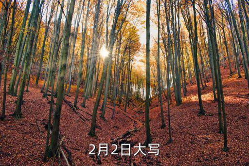 2月2日大寫