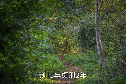 判15年緩刑2年