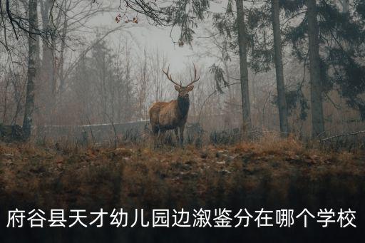 府谷縣天才幼兒園邊溆鑒分在哪個學校
