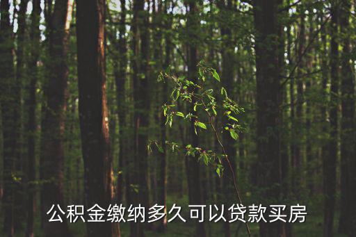 公積金繳納多久可以貸款買房