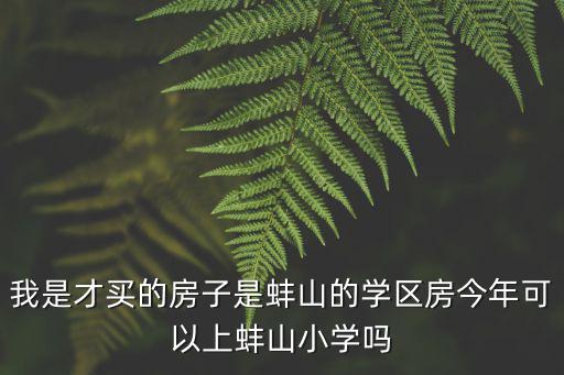 我是才買的房子是蚌山的學區房今年可以上蚌山小學嗎