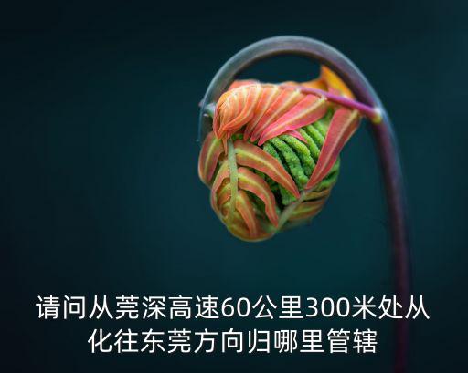請(qǐng)問(wèn)從莞深高速60公里300米處從化往東莞方向歸哪里管轄