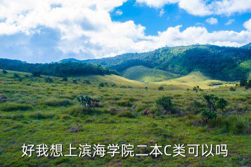 好我想上濱海學(xué)院二本C類可以嗎