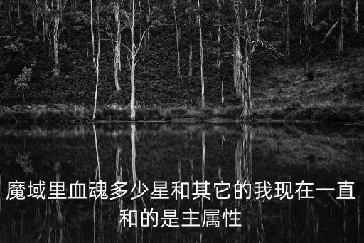魔域里血魂多少星和其它的我現在一直和的是主屬性