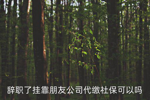 辭職了掛靠朋友公司代繳社保可以嗎