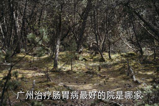 廣州治療腸胃病最好的院是哪家
