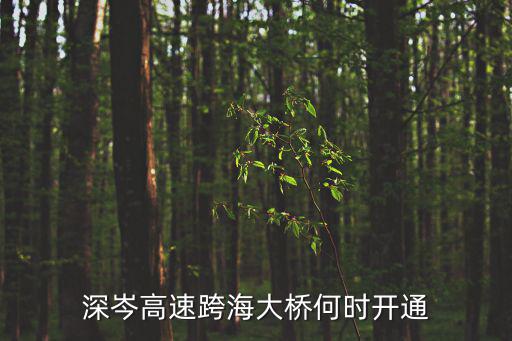 深岑高速跨海大橋何時開通