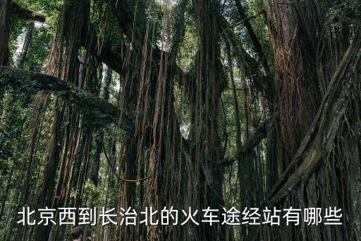 北京到長治，北京西到長治北的火車途經站有哪些