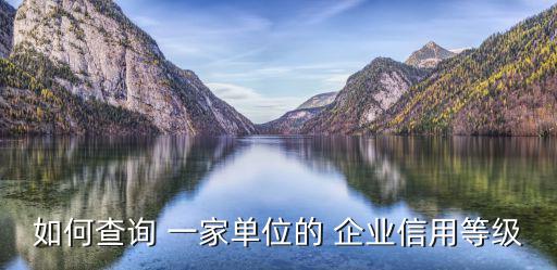 如何查詢 一家單位的 企業信用等級