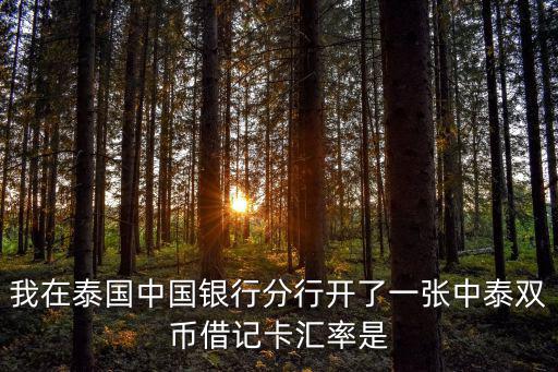我在泰國中國銀行分行開了一張中泰雙幣借記卡匯率是