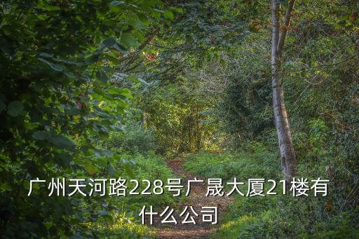 廣州天河路228號廣晟大廈21樓有什么公司