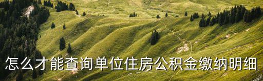 怎么才能查詢單位住房公積金繳納明細