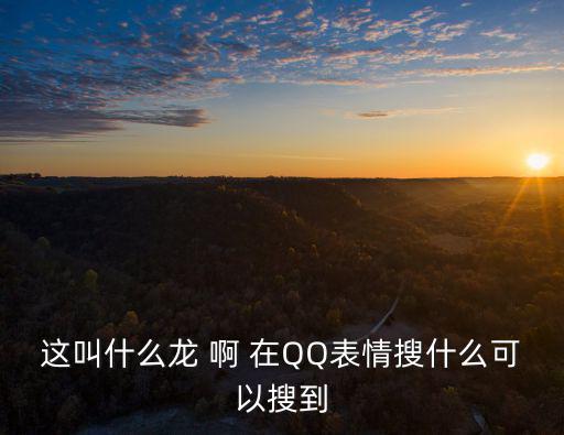 這叫什么龍 啊 在QQ表情搜什么可以搜到