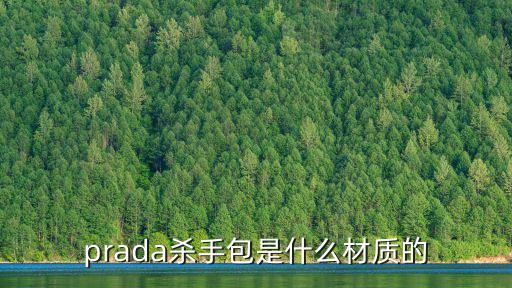 prada殺手包，prada殺手包是什么材質的