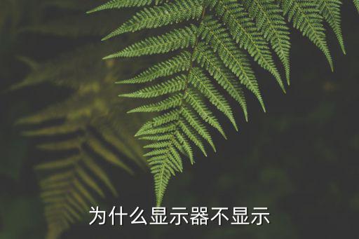 為什么顯示器不顯示