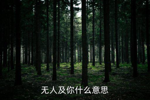 無(wú)人及你什么意思