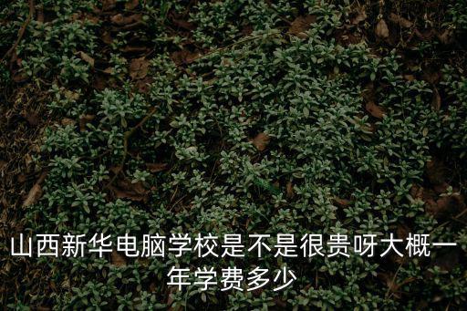 山西新華電腦學校是不是很貴呀大概一年學費多少
