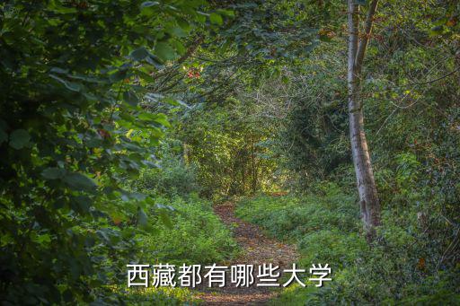 西藏都有哪些大學