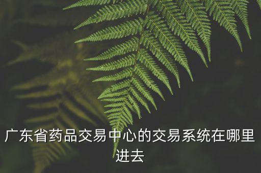 廣東省藥品交易中心的交易系統在哪里進去