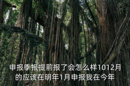 申報季報提前報了會怎么樣1012月的應該在明年1月申報我在今年