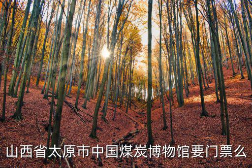 山西省太原市中國(guó)煤炭博物館要門(mén)票么