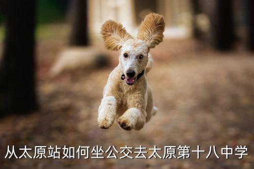 太原市第十八中學，從太原站如何坐公交去太原第十八中學