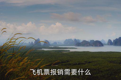 飛機票報銷需要什么