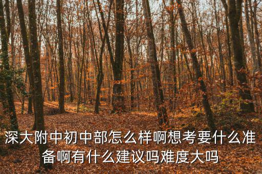 深大附中，深大附中高中部難考嗎
