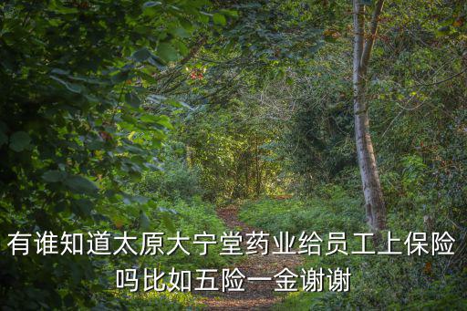 有誰知道太原大寧堂藥業(yè)給員工上保險嗎比如五險一金謝謝