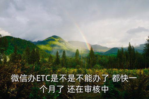 微信辦ETC是不是不能辦了 都快一個月了 還在審核中
