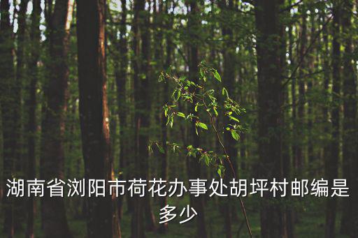 瀏陽郵編，湖南省瀏陽市荷花辦事處胡坪村郵編是多少