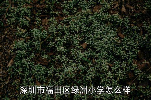 綠洲小學，深圳綠洲小學 益田小學 哪個好