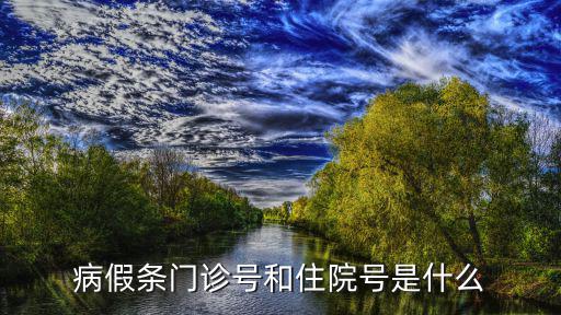 病假條門診號和住院號是什么