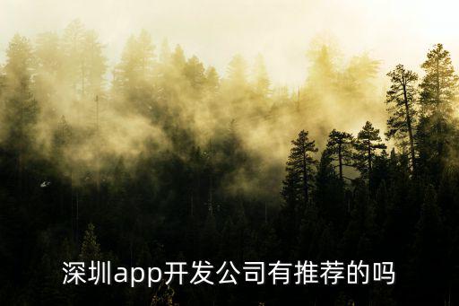 深圳app，深圳app開發公司哪家好請看好這幾點