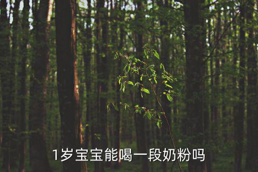 奶粉一段，奶粉1段和2段有什么區別他們說1段的奶粉好些他奶奶就說以后