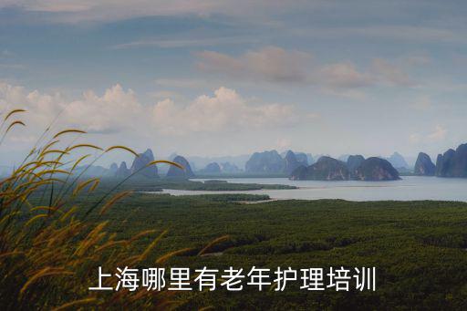 哪里免費(fèi)培訓(xùn)護(hù)工，上海哪里有老年護(hù)理培訓(xùn)