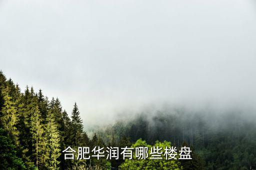 合肥華潤(rùn)有哪些樓盤