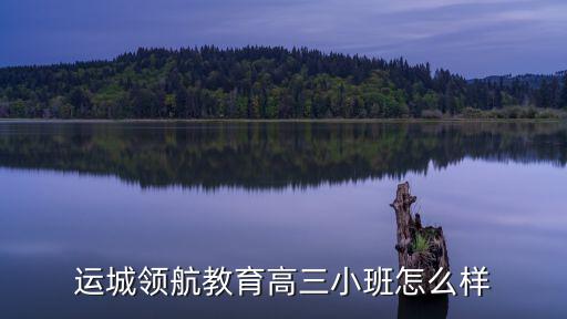 運城教育，運城領航教育高三小班怎么樣