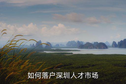 如何落戶深圳人才市場