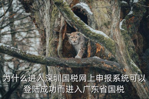 為什么進入深圳國稅網上申報系統可以登陸成功而進入廣東省國稅