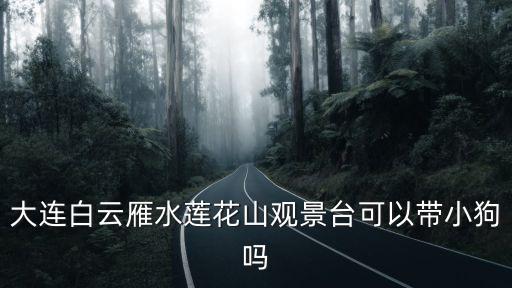 大連白云雁水蓮花山觀景臺可以帶小狗嗎