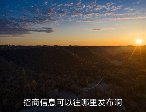 招商信息可以往哪里發布啊