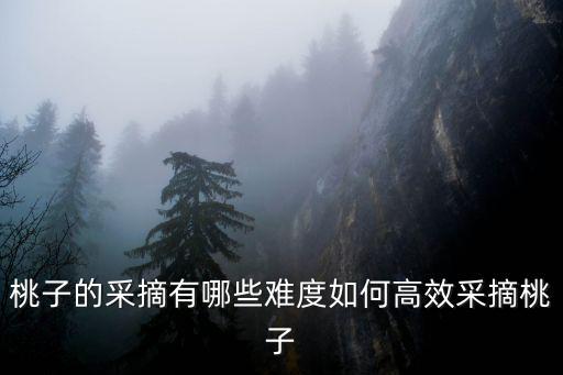 桃子的采摘有哪些難度如何高效采摘桃子