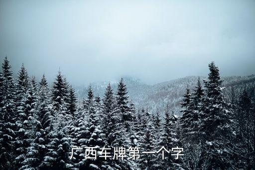 廣西車牌第一個字