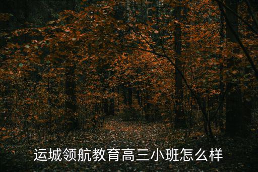 運城領航教育高三小班怎么樣