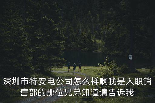 深圳市特安電公司怎么樣啊我是入職銷售部的那位兄弟知道請告訴我